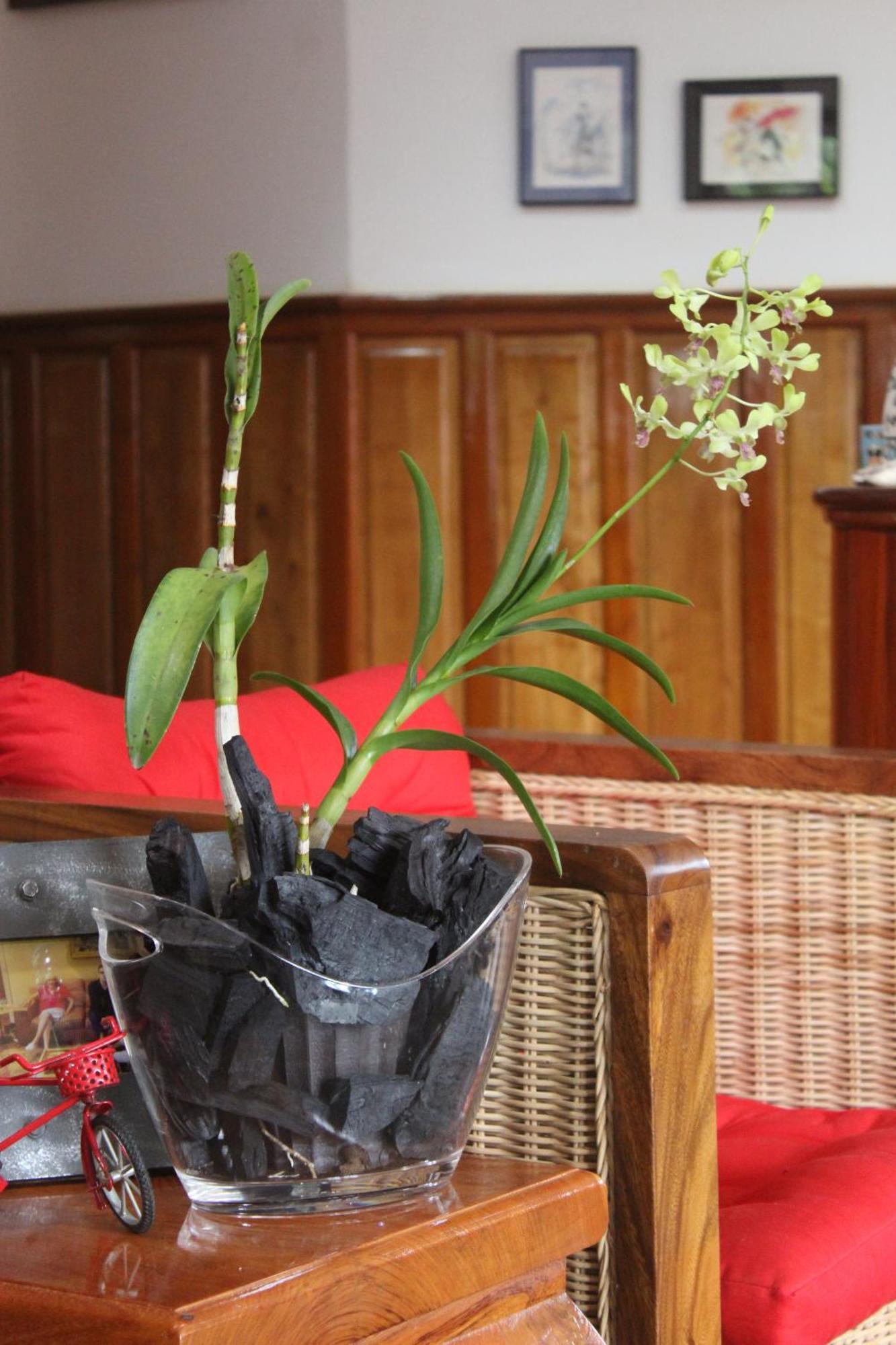 Villa B.Maison D'Hotes Angkor Siem Reap Zewnętrze zdjęcie